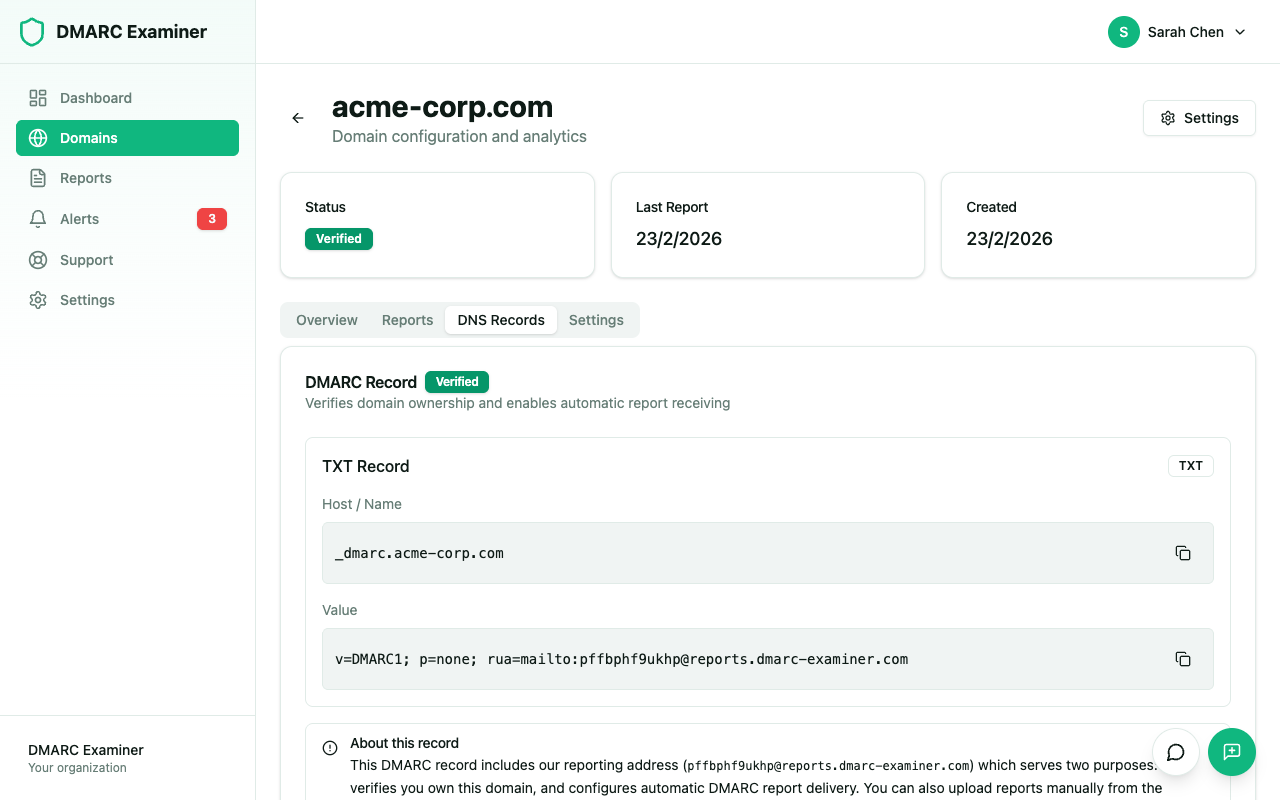 Domain DNS records